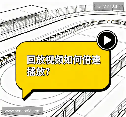 疑问全解